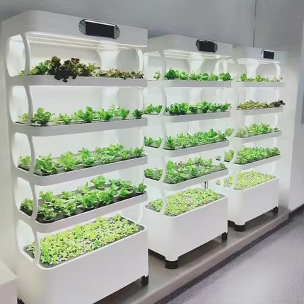 Greenhouse Mini Indoor - Mini Hydroponisch Kweeksysteem Binnenkweekkast voor Groenten