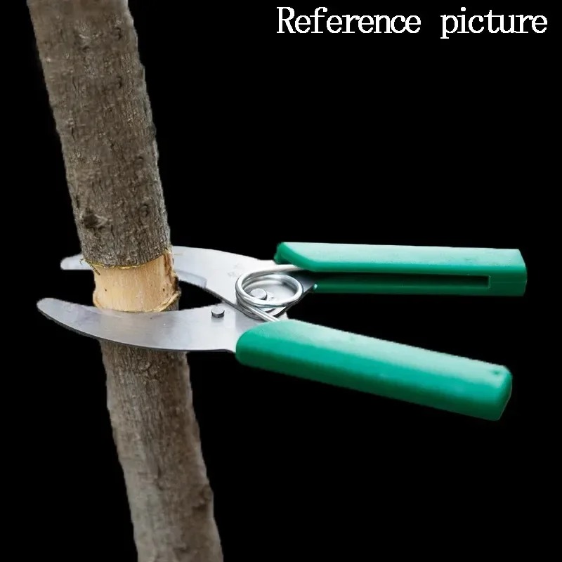 Gardening Tools Sharp - Scherpe Stripping Peeling Mes Tuin Boomtakken