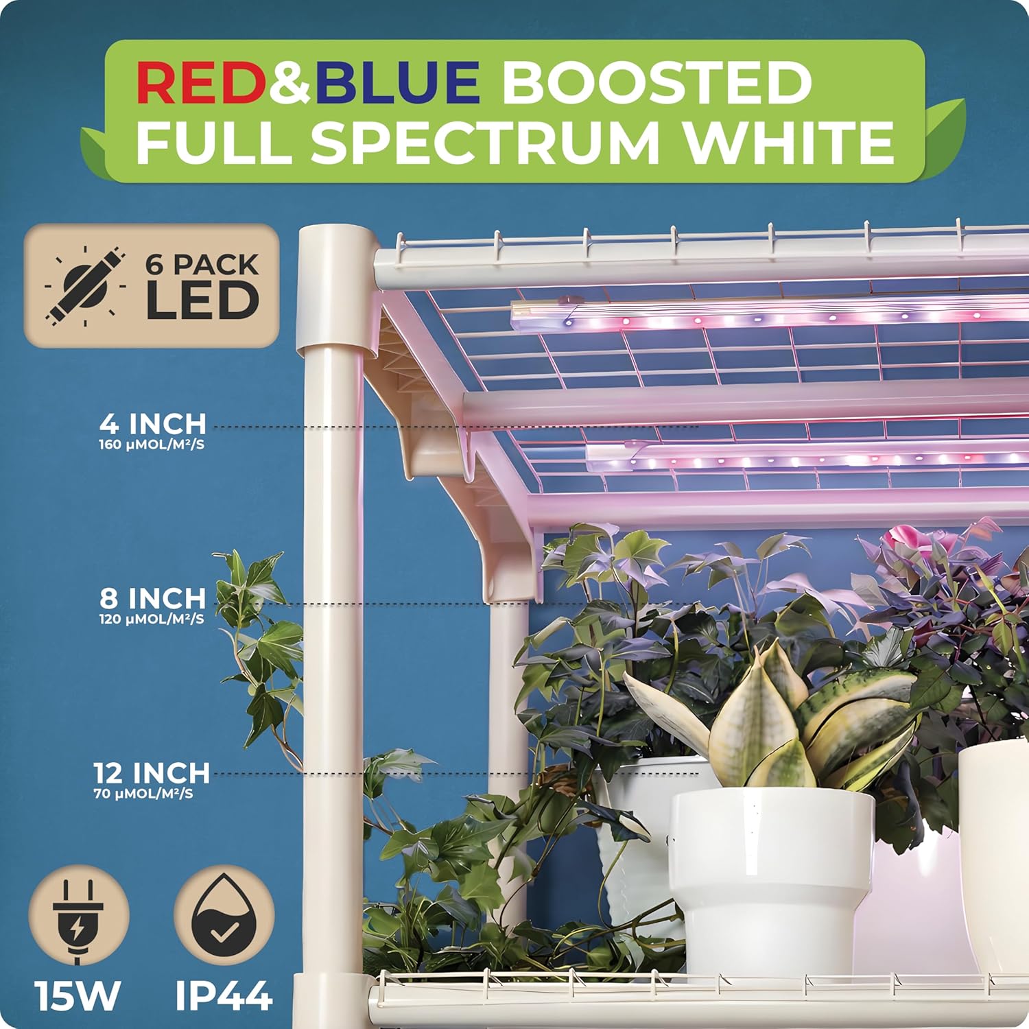 Mini-kas voor binnenplanten me - Greenhouse Mini Indoor recensie en prijs
