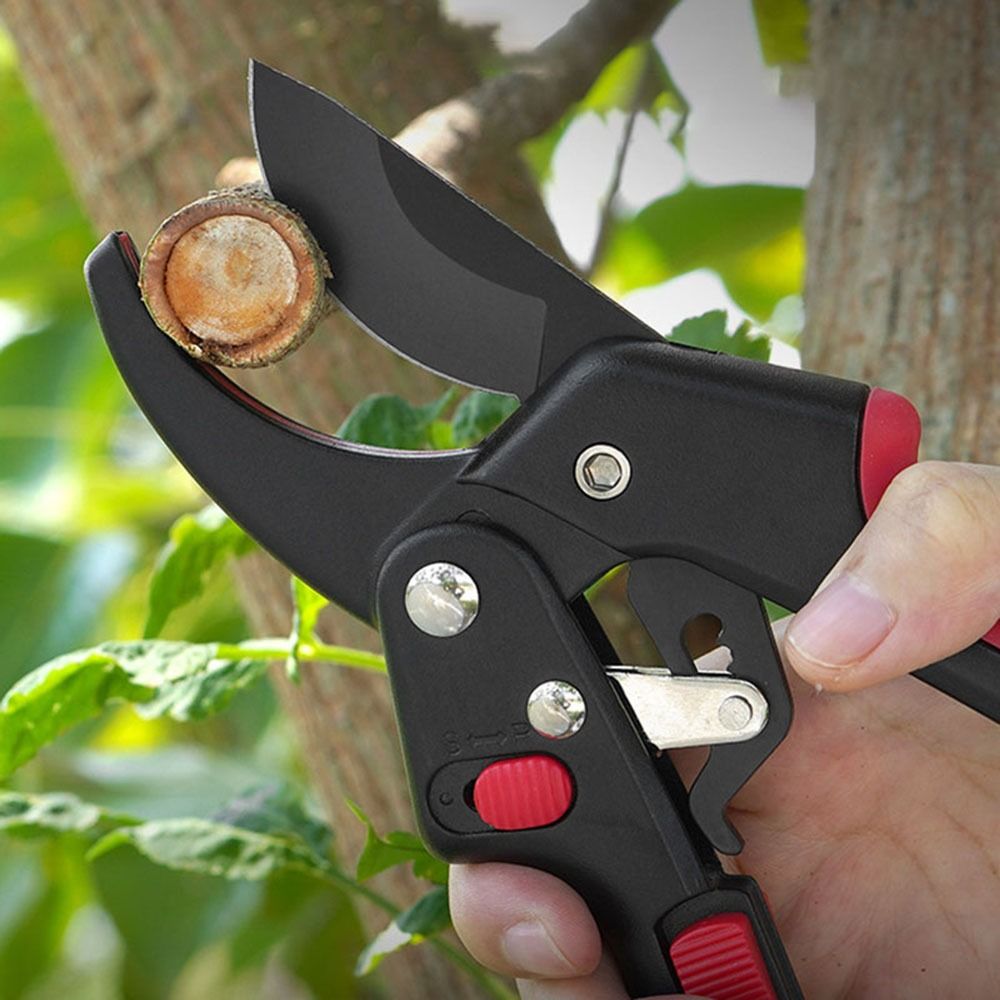 Verstelbare Ratel Tuinieren Sn - Gardening Tools Sharp recensie en prijs