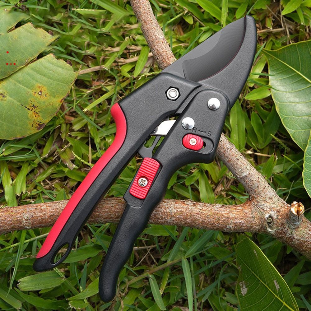 Verstelbare Ratel Tuinieren Sn - Gardening Tools Sharp recensie en prijs