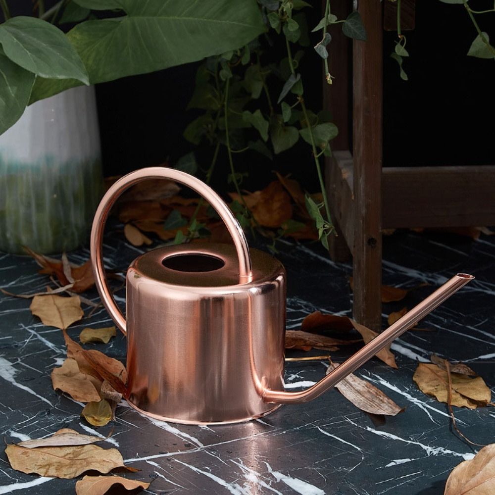 u 1.3L Plantensproeier Ketel R - Watering Can Long Spout recensie en prijs