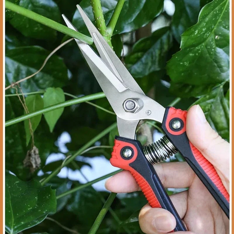 NEWSHARK Roestvrijstalen snoei - Gardening Tools Sharp recensie en prijs