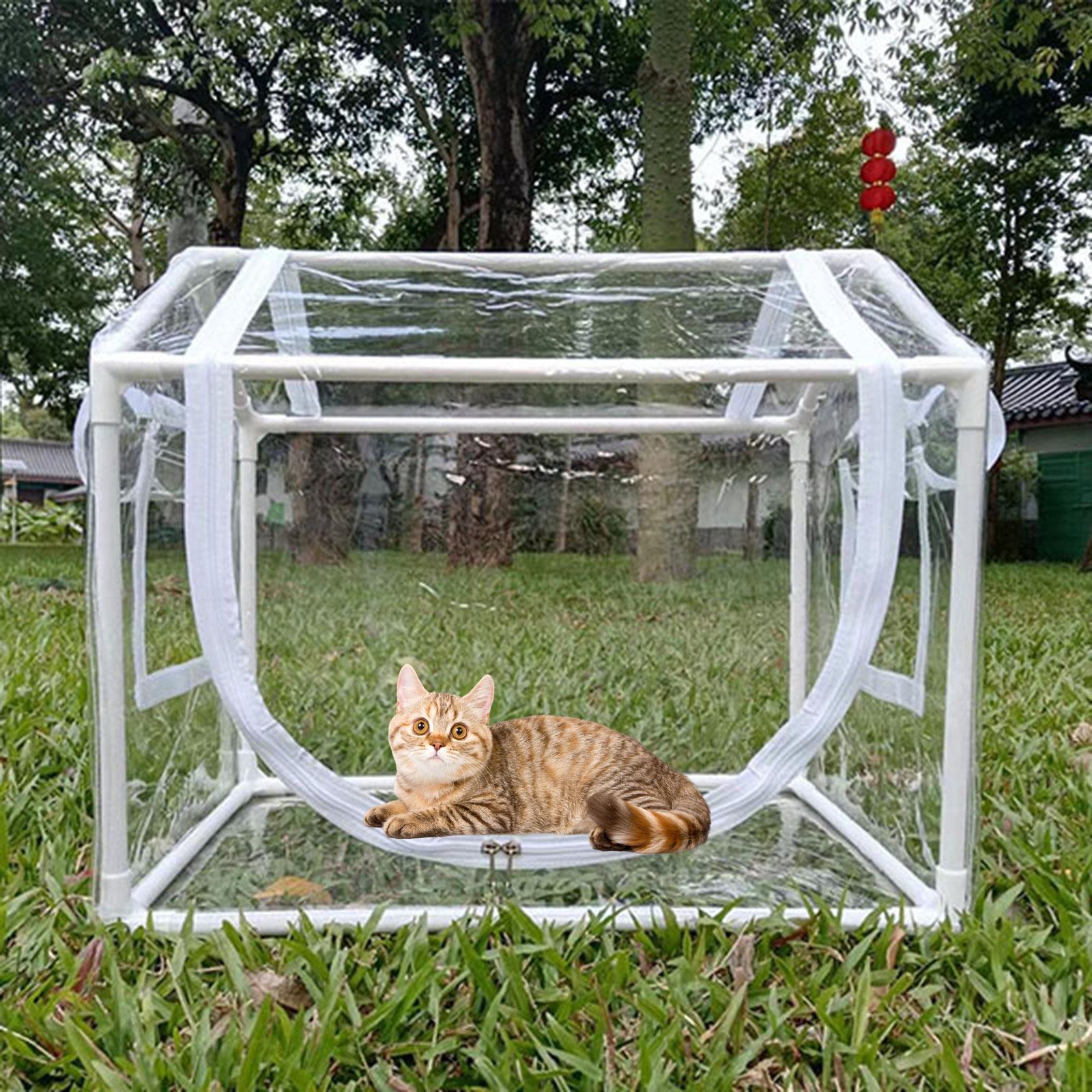 Kleine PVC mini-kas, koudebest - Greenhouse Mini Indoor recensie en prijs