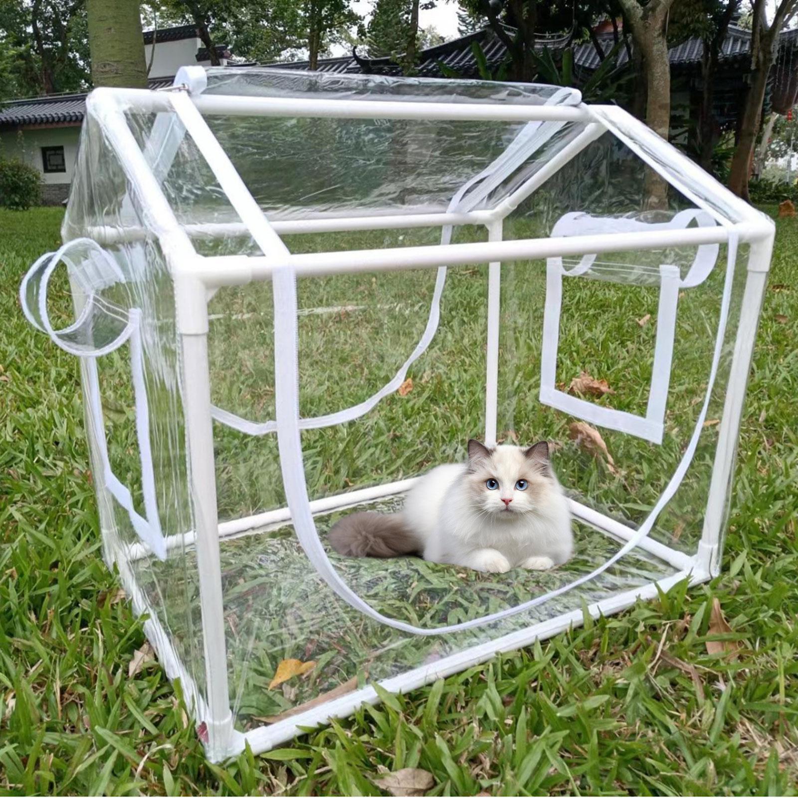 Kleine PVC mini-kas, koudebest - Greenhouse Mini Indoor recensie en prijs