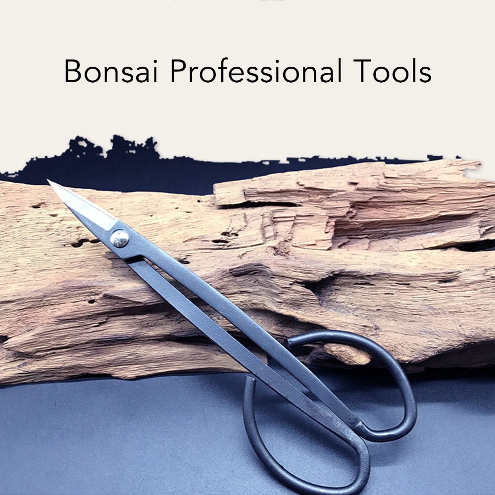 Roestvrijstalen bonsaischaar m - Bonsai Tool Set recensie en prijs