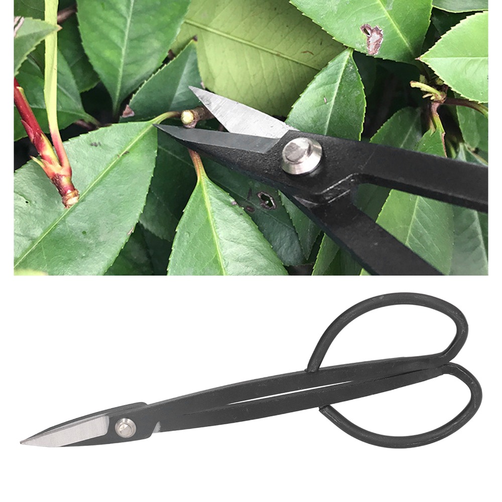 Roestvrijstalen bonsaischaar m - Bonsai Tool Set recensie en prijs