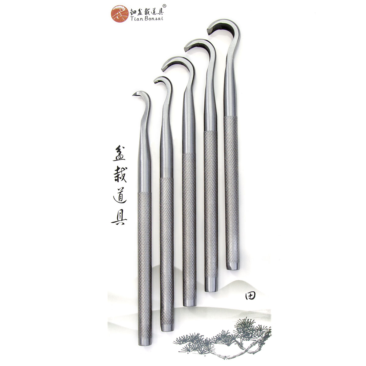 Bonsai snijgereedschapset CT-A - Bonsai Tool Set recensie en prijs
