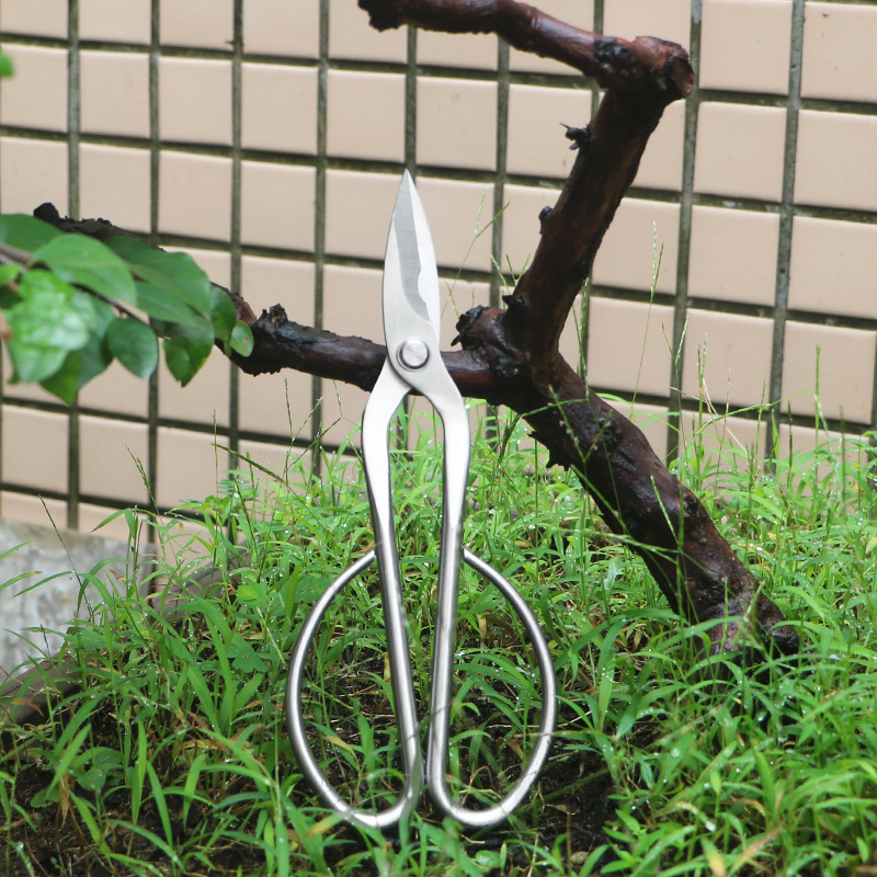 Volledig stalen tuinschaar, ge - Bonsai Tool Set recensie en prijs