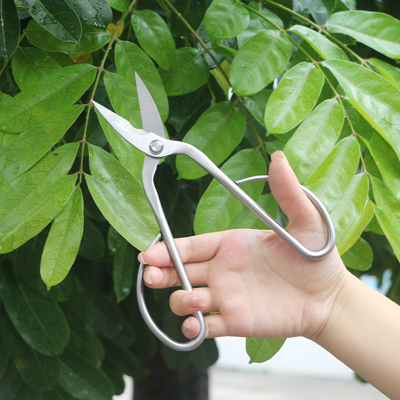 Volledig stalen tuinschaar, ge - Bonsai Tool Set recensie en prijs