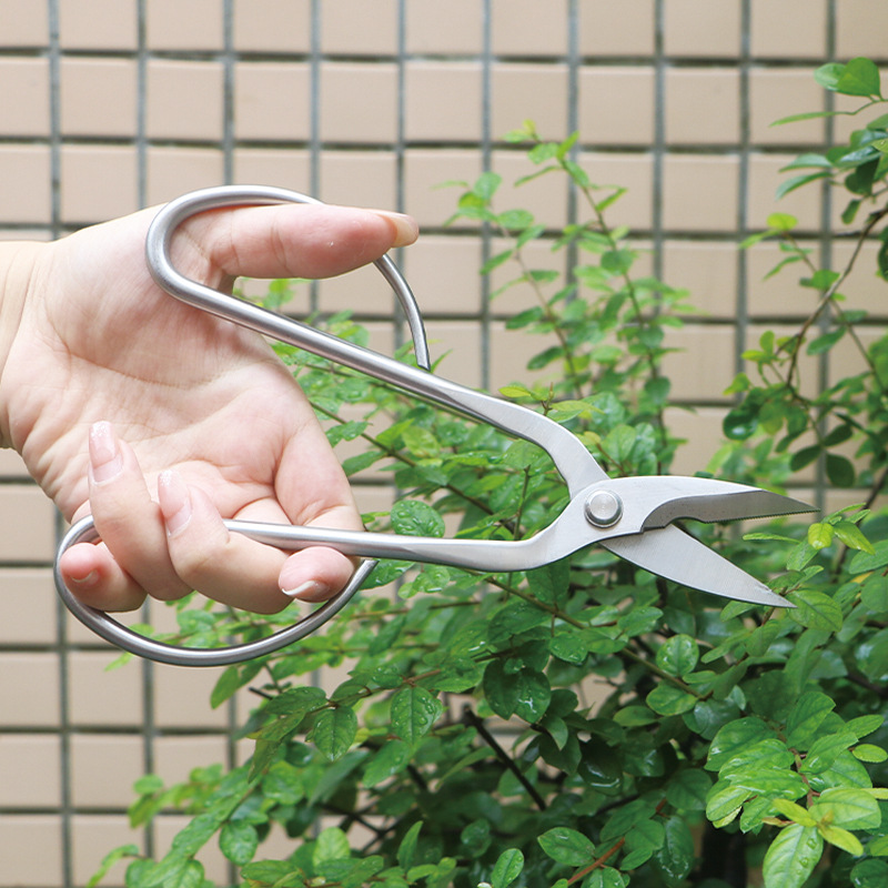 Volledig stalen tuinschaar, ge - Bonsai Tool Set recensie en prijs