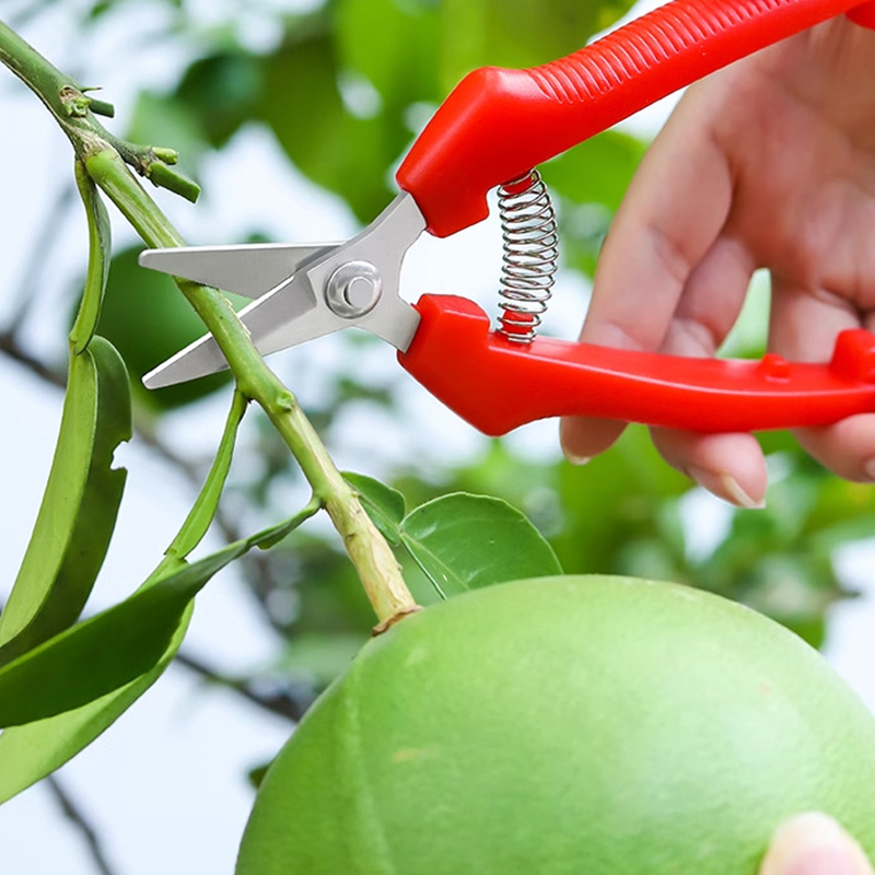 Schaar met één hand, snoeischa - Gardening Tools Sharp recensie en prijs