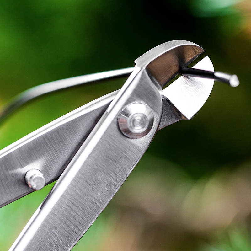 Professionele Bonsai Gereedsch - Bonsai Tool Set recensie en prijs