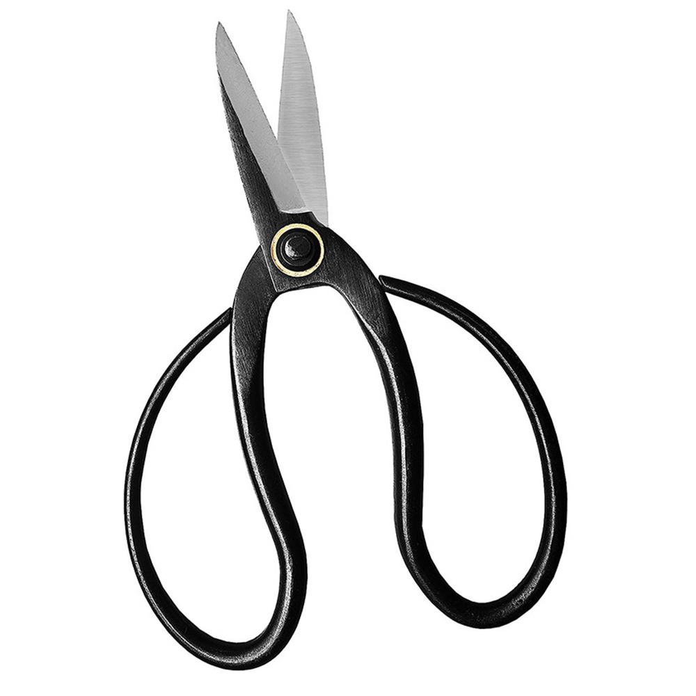 Professionele Bonsai Schaar Tr - Bonsai Tool Set recensie en prijs