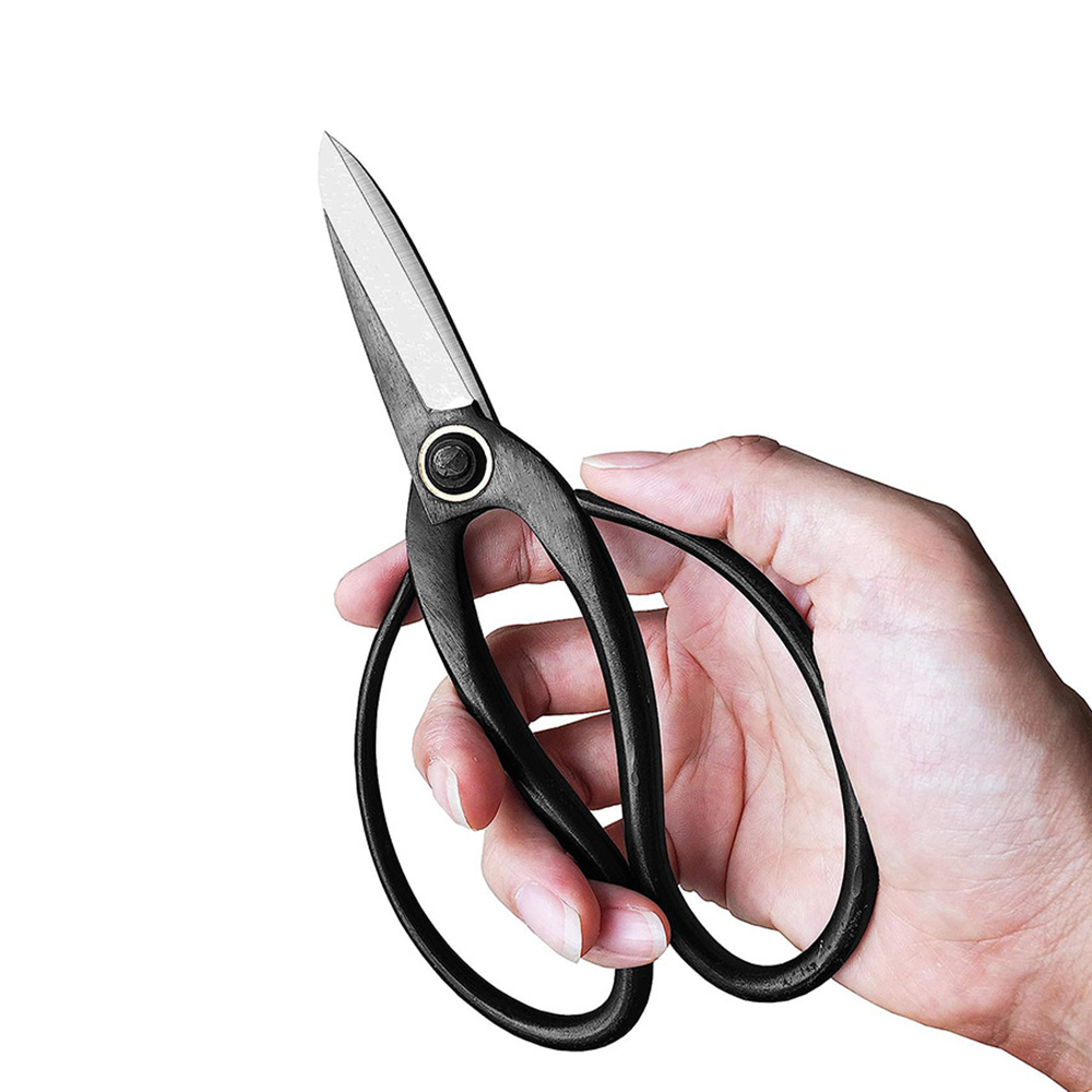Professionele Bonsai Schaar Tr - Bonsai Tool Set recensie en prijs