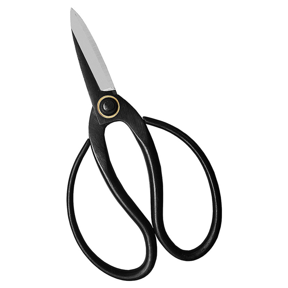 Professionele Bonsai Schaar Tr - Bonsai Tool Set recensie en prijs