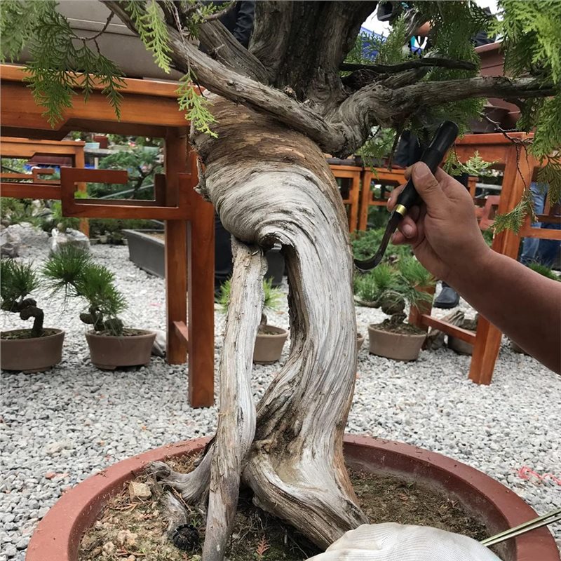 A74E-Bonsai-schraperset, 5-del - Bonsai Tool Set recensie en prijs