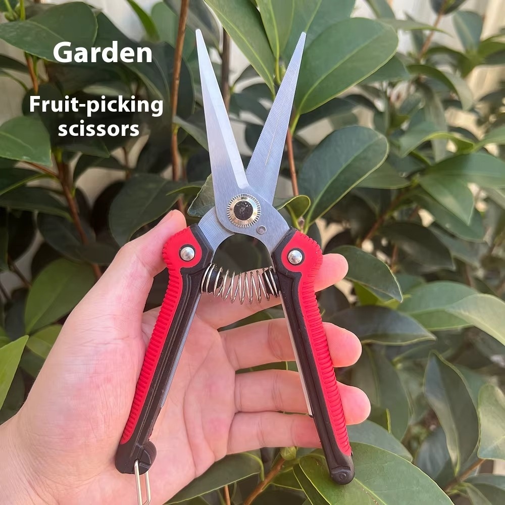 Professionele scherpe takkensc - Gardening Tools Sharp recensie en prijs
