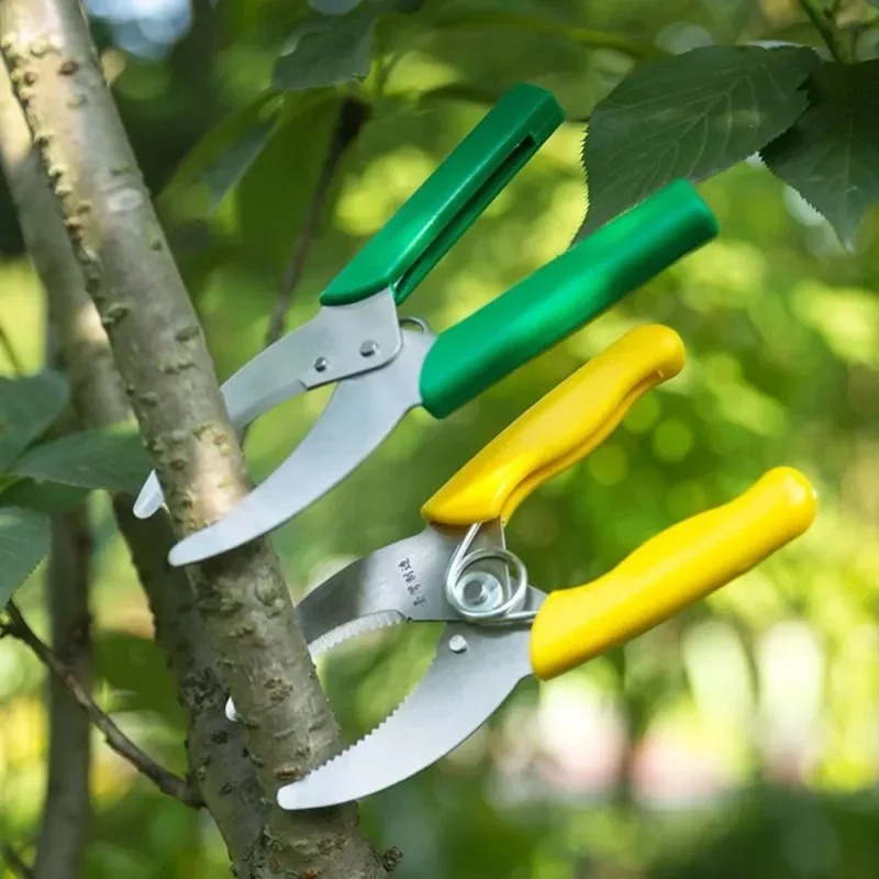 Scherpe Stripping Peeling Mes  - Gardening Tools Sharp recensie en prijs