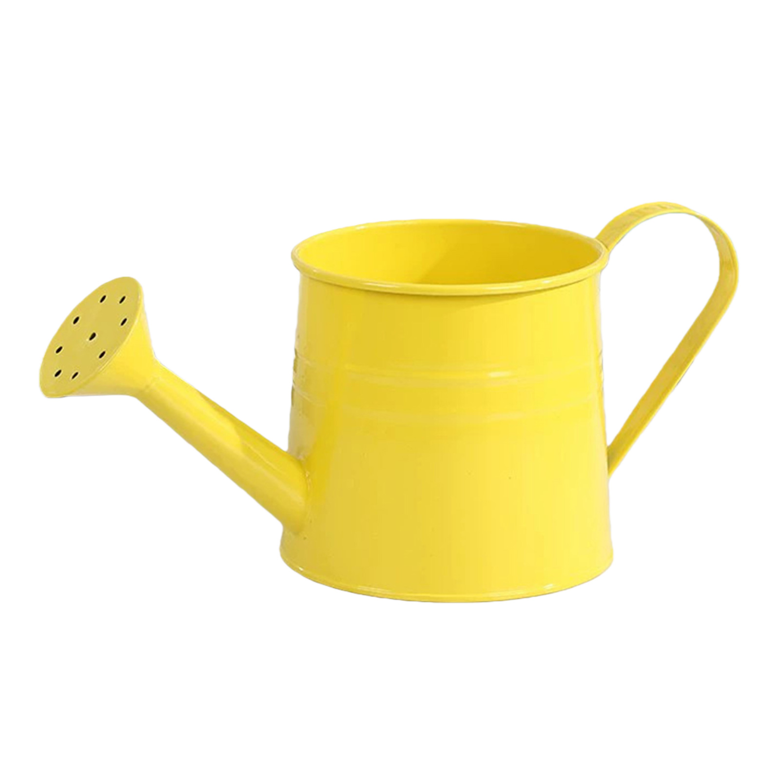 Bloemen-sproeier met lange tui - Watering Can Long Spout recensie en prijs