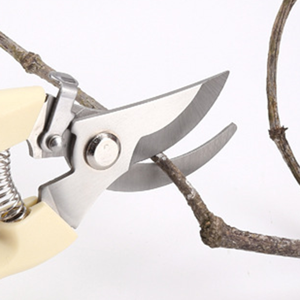 Snoeischaar Handgereedschap Bo - Bonsai Tool Set recensie en prijs