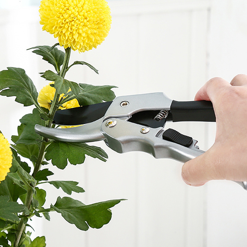 Nieuwe 20 Cm Ratel Plant Trim  - Gardening Tools For Beginners recensie en prijs