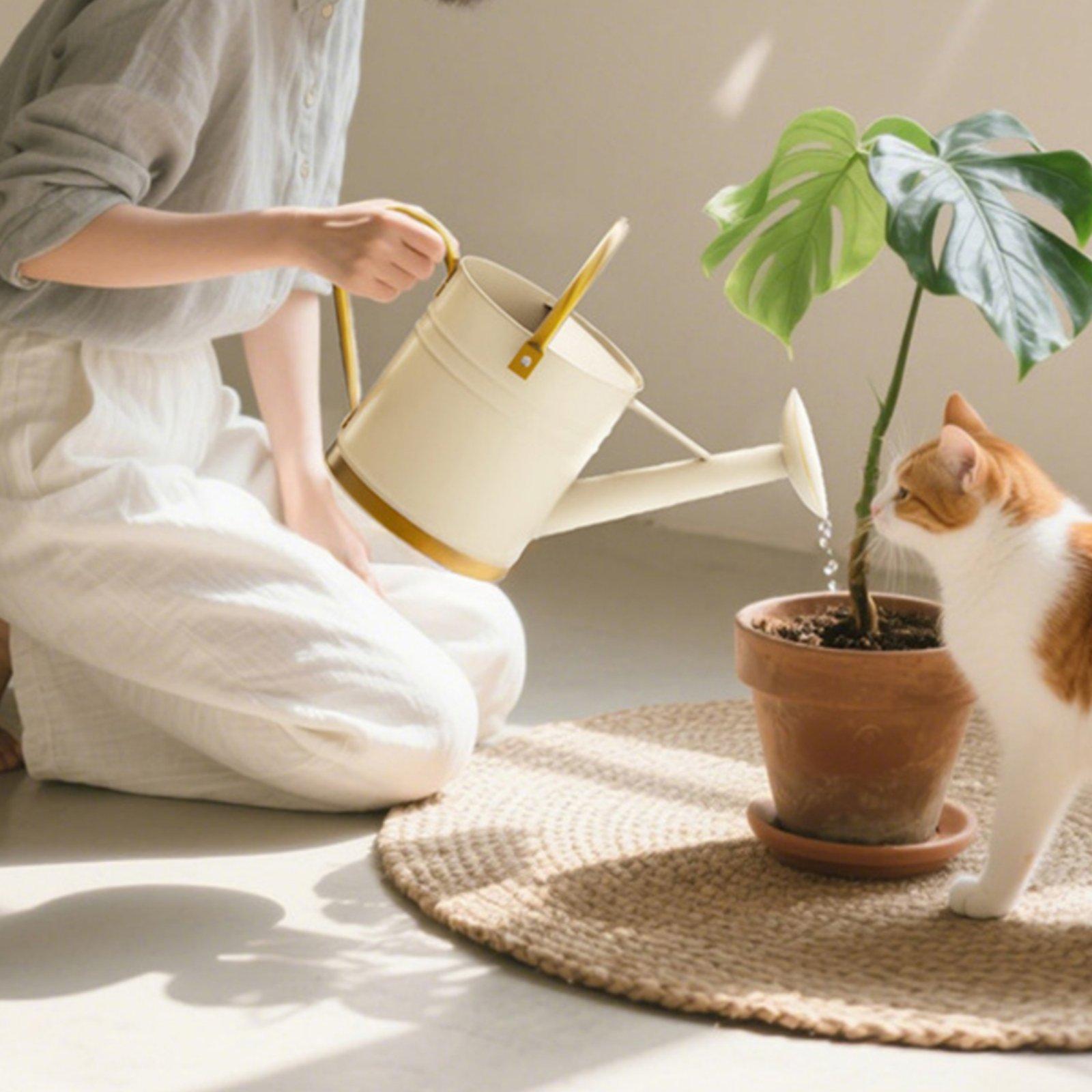 Gieter met lange uitloop, lekv - Watering Can Long Spout recensie en prijs
