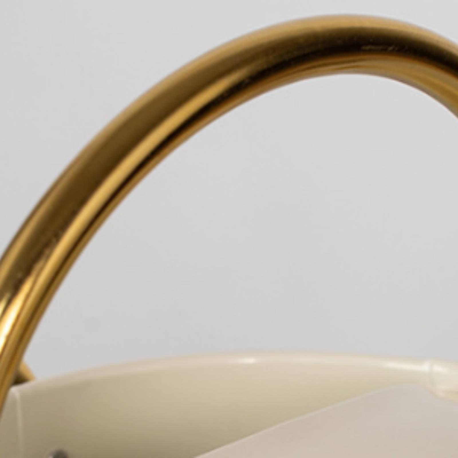 Gieter met lange uitloop, lekv - Watering Can Long Spout recensie en prijs