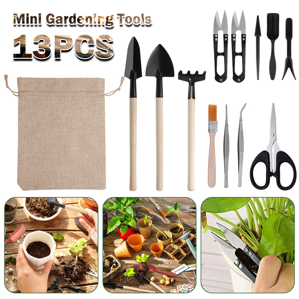 Vetplanten Gereedschap Mini Tu - Bonsai Tool Set recensie en prijs