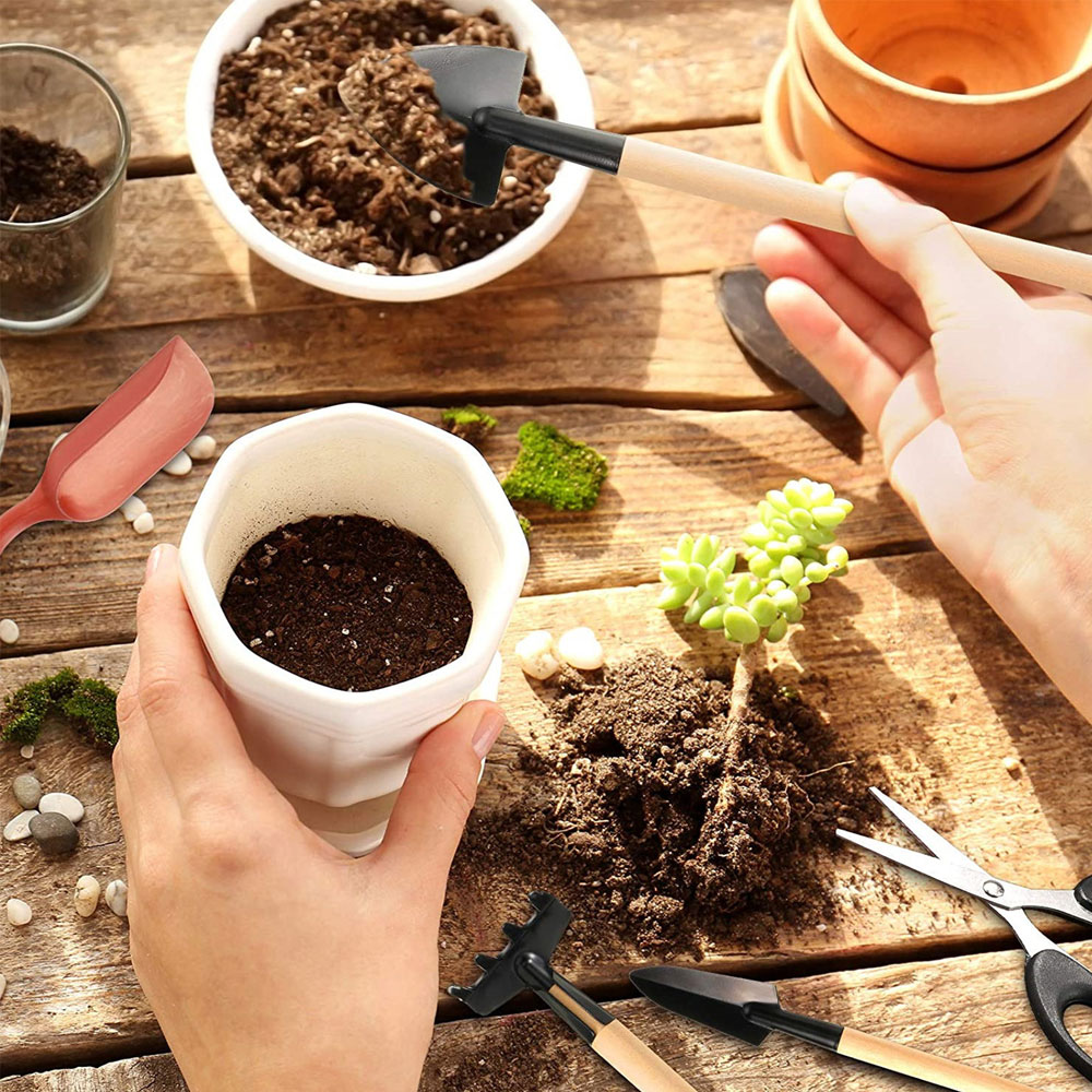 Vetplanten Gereedschap Mini Tu - Bonsai Tool Set recensie en prijs